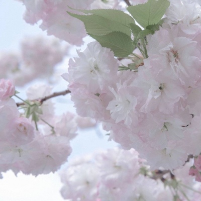 兽设角色性格塑造FurryQQ群